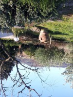 /album/cooperativa-argentovivo-onlus/foto-1-jpg/